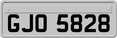GJO5828