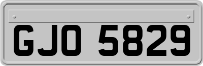 GJO5829