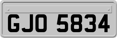 GJO5834