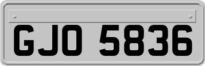 GJO5836