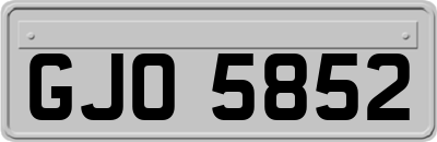 GJO5852