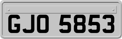 GJO5853