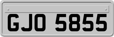 GJO5855