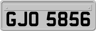 GJO5856