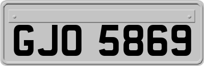 GJO5869