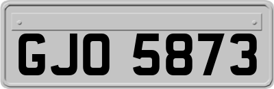 GJO5873