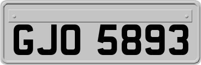 GJO5893