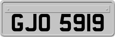 GJO5919