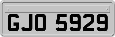 GJO5929