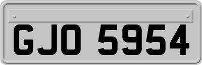 GJO5954