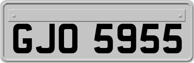 GJO5955