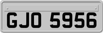 GJO5956