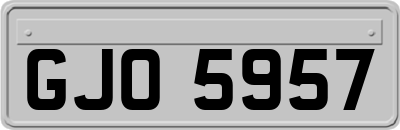 GJO5957