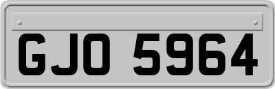 GJO5964