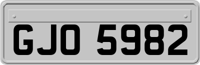 GJO5982