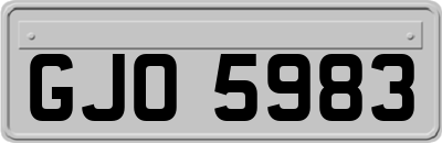 GJO5983