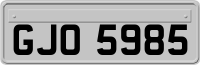 GJO5985