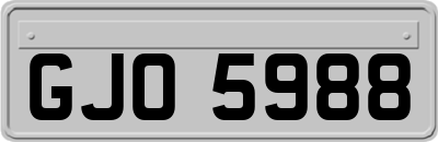 GJO5988