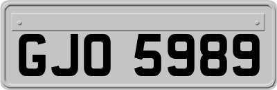 GJO5989