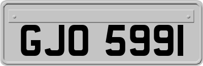 GJO5991