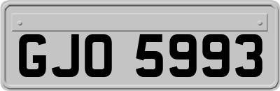 GJO5993
