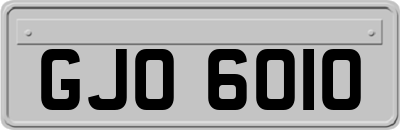GJO6010