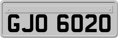 GJO6020