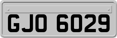 GJO6029