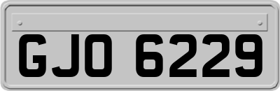 GJO6229