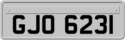 GJO6231