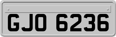 GJO6236