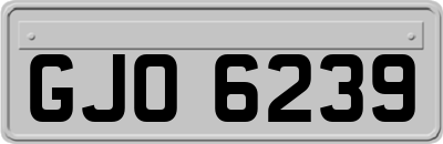 GJO6239