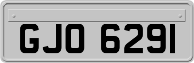 GJO6291