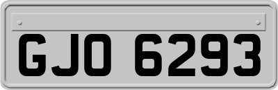 GJO6293