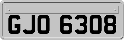 GJO6308
