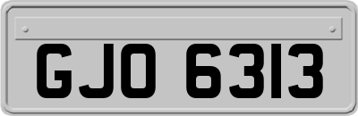 GJO6313