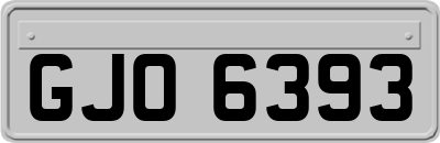 GJO6393