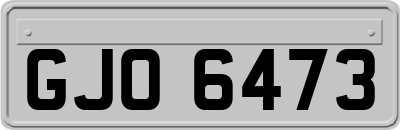 GJO6473