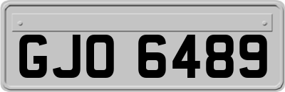 GJO6489
