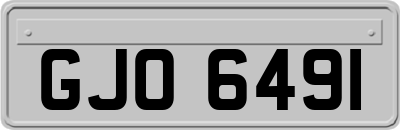 GJO6491