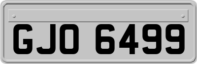 GJO6499