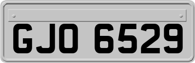 GJO6529