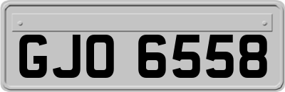 GJO6558