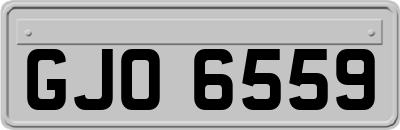 GJO6559
