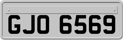 GJO6569