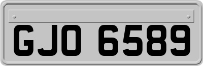 GJO6589