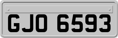 GJO6593