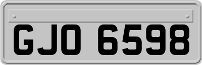 GJO6598
