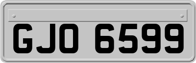 GJO6599