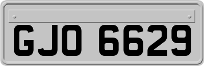 GJO6629